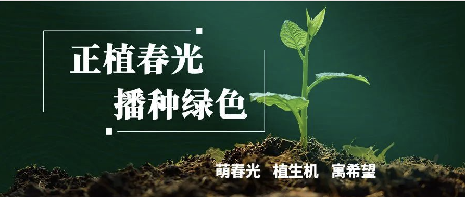 拥抱币游，共植美好